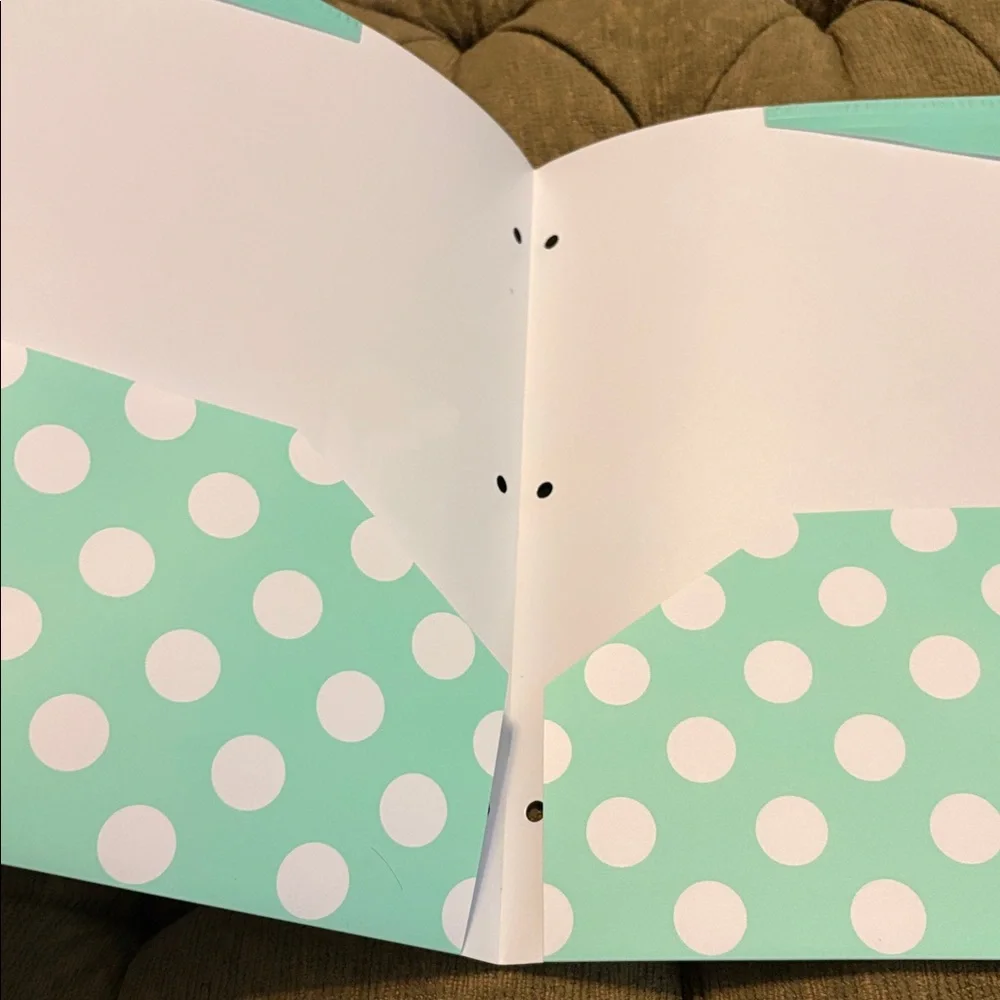 Studio C “The Pattern Play” Collection 3 2-pkt poly folders and 6 file folders.